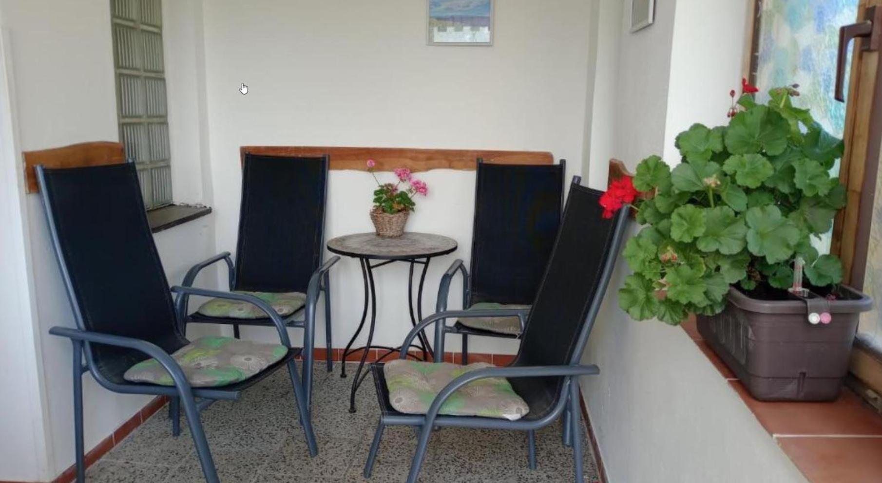Ubytovani V Soukromi Libice Nad Cidlinou Εξωτερικό φωτογραφία